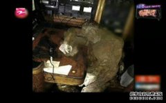 你有没有对日本的鬼船感到惊讶？当地人冷静下