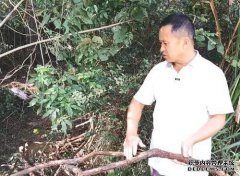 农村叔叔种植树木超过10年，销售70份。网友：失