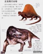 图3外面的五只史前动物的头骨长2米，牙齿数13