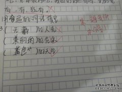 四年级小学数学考试成绩考试成绩困扰了许多学