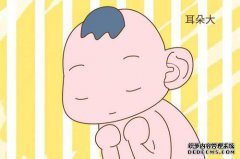 孩子在耳边，智商高，主要智慧和长寿，社会地