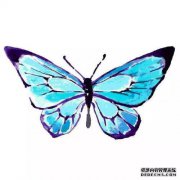 心理测试：你喜欢用什么样的铅笔画蝴蝶？未来