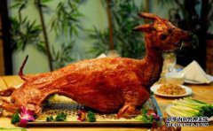 有趣的段落：很冷，我该怎么做，烤着火？