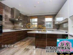 我需要借三次房子才能发现厨房的设置如下。