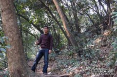 王宝强王国一王的受伤分支被用作拐杖。与张玉