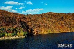 电影“日本元首”的首映式在北京举行，嘲笑世