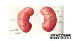 肝脏不好的人会看到身体“1黑1黄2红！”吃更多