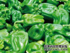 吃胡椒有什么好处？