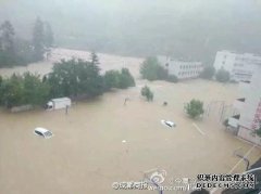 山东俊光受洪水的影响更大，过去一年如何从洪