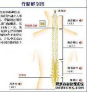 喝脑脊液会痛吗？