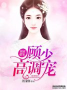 独家婚礼吉祥物：老公，别担心