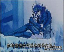 现在有几张照片？