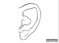人耳影像大全