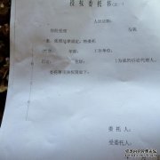 委员会的法律责任是什么？