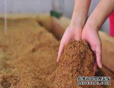 出汗后会发生什么？