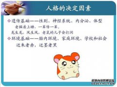 几代老猫在房间里睡觉