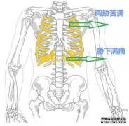 左胁痛是什么？