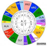 ks在化学上是什么意思？我知道ka是一个酸性电离