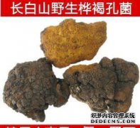 为什么在中国禁止白人犯罪？