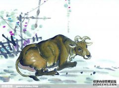 在阴阳的路上，总是在天边，女人嫁给了男人的