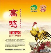 娃哈哈，一个巨大的成功，简化了新的饮食革命