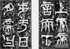 如何使用结实的木材来增强身体。