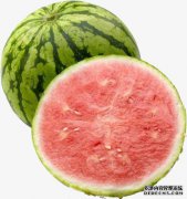 下载西瓜铁丝网高清图像