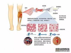 什么是快速的人类语言？