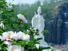 临沂视界：黎县黎源县的歌手