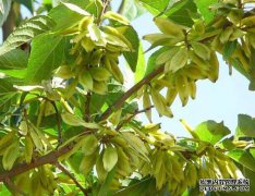 交流关系的作用和功能。