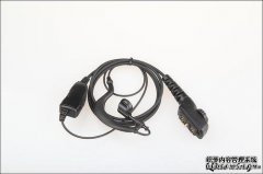 Pd和pt是愚蠢的。尚不清楚理解含义是否为王。