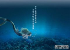 Z Jiang Changyu文化艺术发展有限公司怎么样？