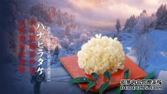 上海禾蘑菇生物技术有限公司
