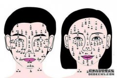 你的胸部是什么意思？