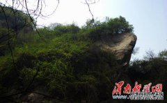 临沂区天流森林公园项目