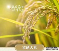 90％以上的土壤富含硒的五津地区是富含硒的五津