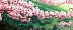 [碎灯的梦]