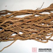 同情和治疗心脏运动坑。