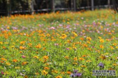 山心湖和六心湖的感觉