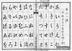 下蹲的一面是什么？
