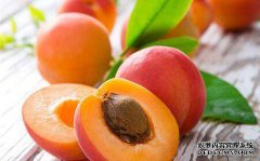 吃杏子有什么好处？孕妇可以吃杏子吗？