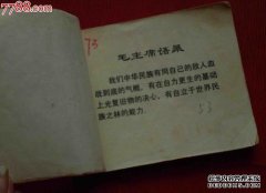 小马是什么意思？