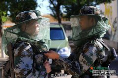一些公司表示，他们打算向新维吾尔自治区边界