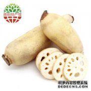 可以将新鲜的莲root放入冰箱吗？
