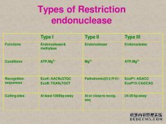 什么是常见的限制酶？
