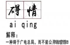 山川市锥的圣城圣殿的作用是什么？