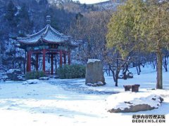 [在展馆前学习海龟]