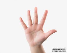 小手指附近的手掌上长出一条类似伤口的白色条